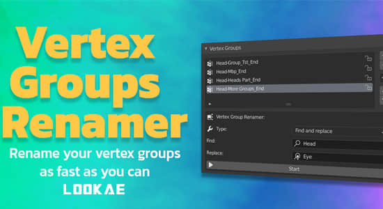 Blender插件-快速给定点组批量重命名工具 Vertex Groups Renamer – Vgr