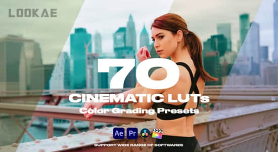 70个电影大片LUT调色预设 Cinematic LUTs Vol.1