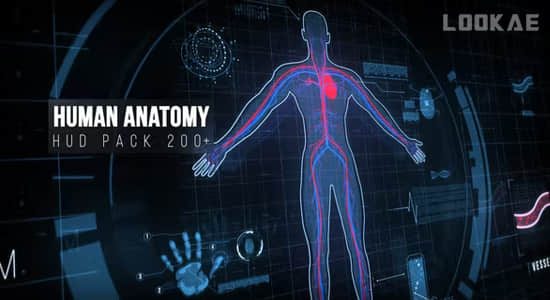 AE模板-200种科技感人体UI界面HUD元素动画 Human Anatomy HUD Pack