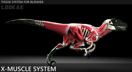 Blender插件-肌肉系统模拟工具 X-Muscle System 2.47