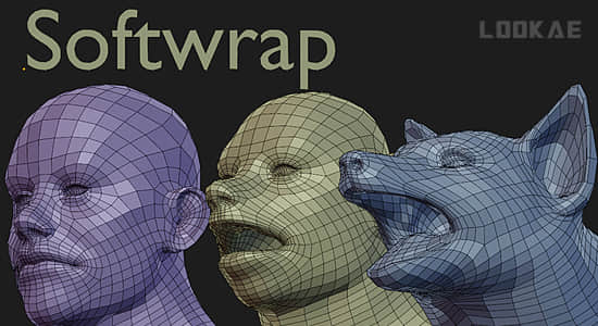 动力学重新拓扑工具Blender插件 Softwrap v2.1.2 Win/Mac/LNX