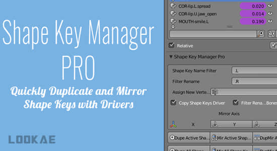 形态键管理Blender插件 Shape Key Manager Pro V1.4.2