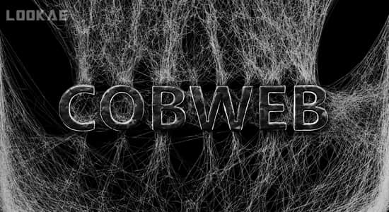 Blender蜘蛛网生成器 Cobweb (spidernet) v2.1