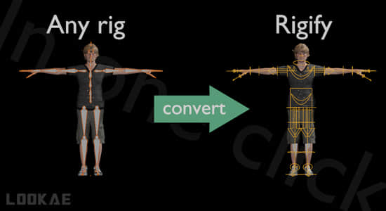 一键导入骨骼绑定数据映射Blender插件 Any Rig to Rigify V0.0.3