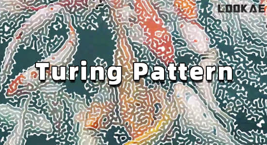 中文汉化AE插件-创意抽象图灵纹理效果生成工具 Turing Pattern v1.0 Win