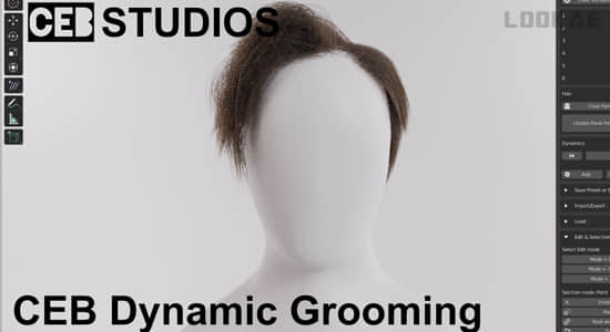 Blender插件-动态修饰粒子毛发 Dynamic Grooming 0.67