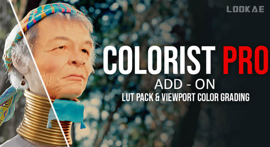 Blender插件-专业色彩分级LUTs调色工具 Colorist Pro V1.0.0+Asset预设