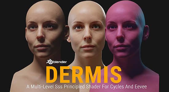 Blender插件-真实皮肤着色器预设 Dermis Shader V1.1