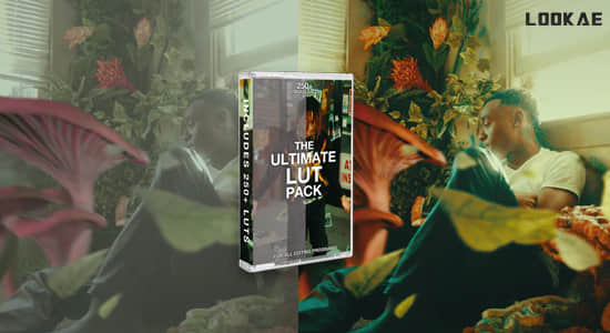 287个终极专业电影级LUTs视频调色预设 The Ultimate Lut Pack