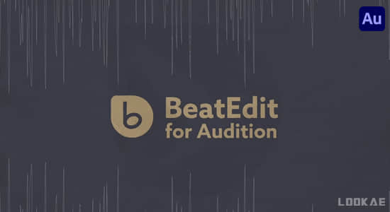 Audition插件-音乐鼓点自动节拍打点标记动画脚本 BeatEdit v2.2.000+使用教程