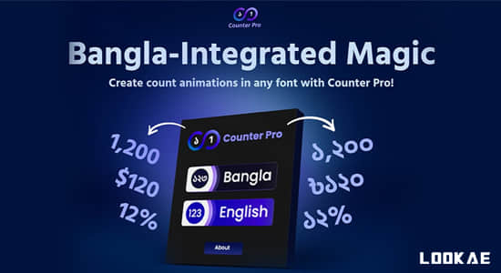 AE脚本-动态计数器动画生成器 Counter Pro v1.0