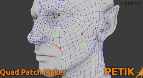 Blender插件-快速自定义重拓扑工具 Petik v2.0.5 – Retopology Patch Maker